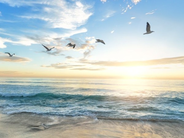 Ontem fui à praia – e salvou a minha sanidade&nbsp;mental.